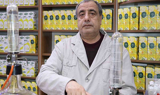 Derecesine dikkat edilmeyen kolonyalar, insan sağlığını tehdit ediyor