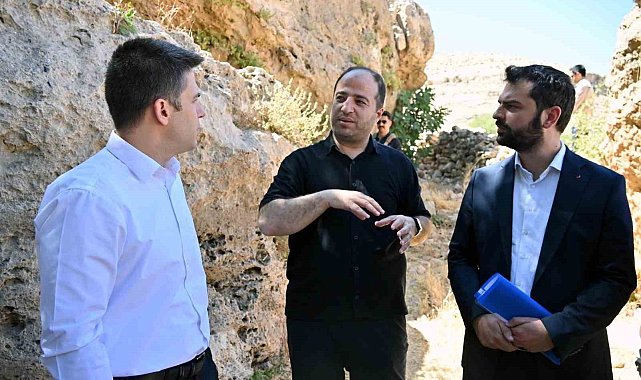 Derik Kaymakamı Bayraklı, zeytinliklerde yürütülen sulama çalışmalarını inceledi