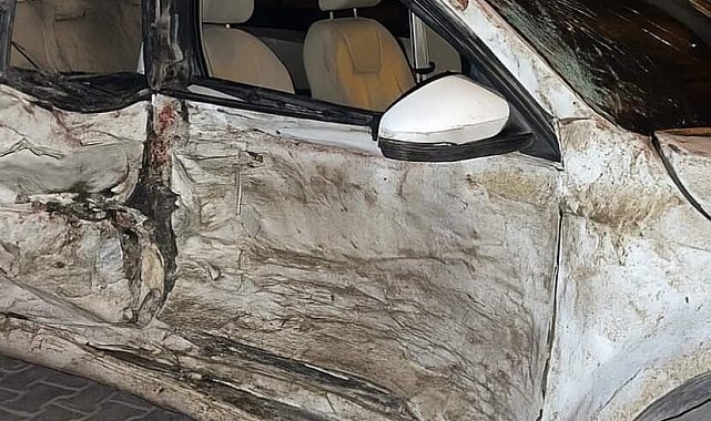 Devrilen otomobilin sürücüsü yaralandı