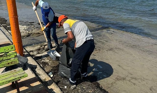 Didim Belediyesi Mavişehir Sahili'ni temizledi