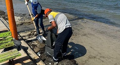 Didim Belediyesi Mavişehir Sahili'ni temizledi