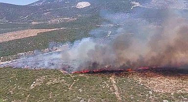 Didim'de makilik yangını