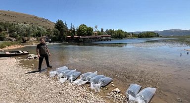 Dinar'da baraj ve göletlere 205 bin yavru balık salındı