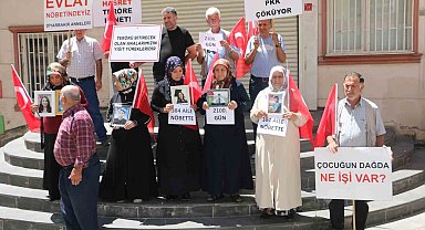 Diyarbakır'da 384'üncü aile evlat nöbetine katıldı