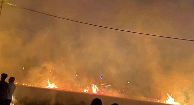 Diyarbakır'da 40 dönüm buğday yangında küle döndü