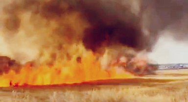 Diyarbakır'da biçilmemiş 30 dönüm buğday yangında kül oldu