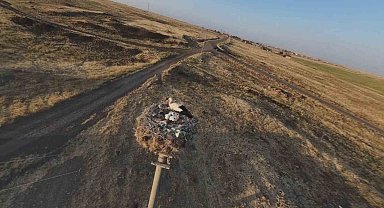 Diyarbakır'da leylekler yuvalarına döndü