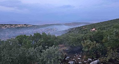 Diyarbakır'da örtü yangını