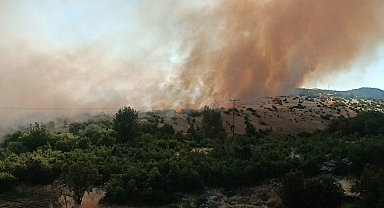 Diyarbakır'da örtü yangını