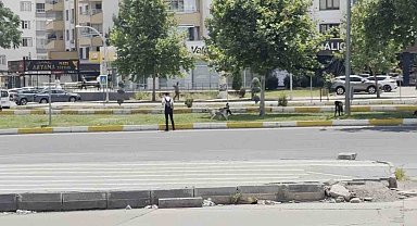 Diyarbakır'da sürü halinde gezen köpekler vatandaşları korkuttu
