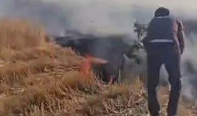 Diyarbakır'da vatandaşlar ağaç dallarını kopararak yangını söndürmeye çalıştı