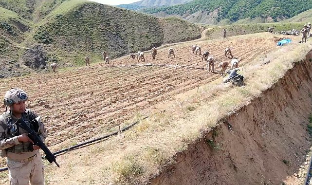 Diyarbakır'da yaklaşık 160 milyar 650 milyon TL olan 319 tonluk uyuşturucu maddenin topluma sunulmasının önüne geçildi