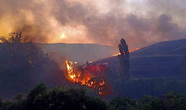 Diyarbakır'daki anız ve orman yangınları söndürüldü