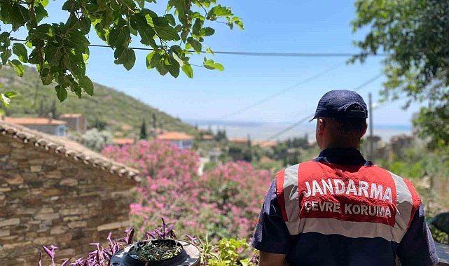Doğanbey'de orman yangınlarına dikkat çekildi