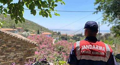 Doğanbey'de orman yangınlarına dikkat çekildi