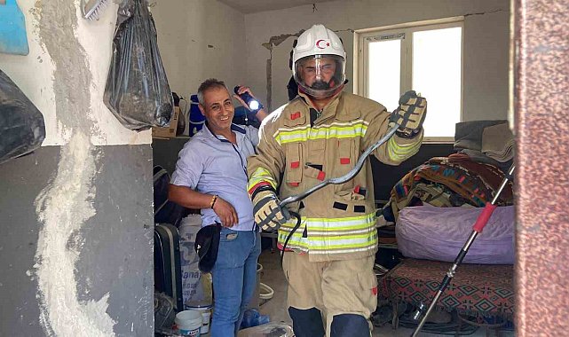 Doğaya bırakıldığı esnada yönünü şaşıran yılan gülümsetti