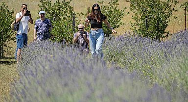 Doktorun tıbbi aromatik bahçesine yoğun ilgi