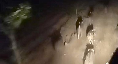 Domuz sürüsünü sessizce kovaladı