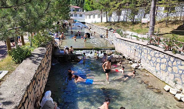 Dünyaca ünü 'doktor balıklar' 5 aydır şifa dağıtamıyor