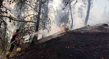 Dursunbey'de orman yangını