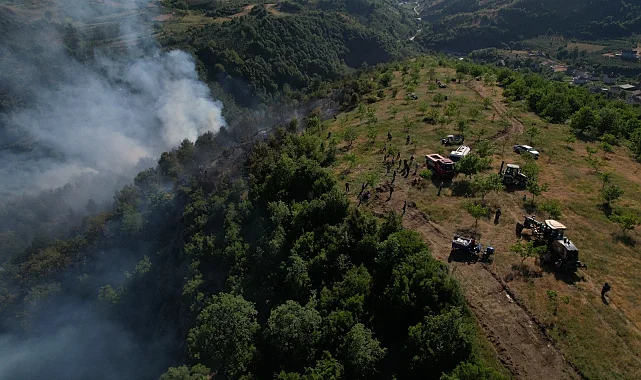 Düzce Yığılca'da orman yangını!