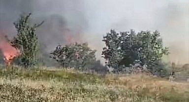 Düzce'de orman yangını: 5 hektarlık alan küle döndü