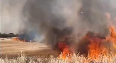 Edirne'de buğday tarlaları alev alev yandı