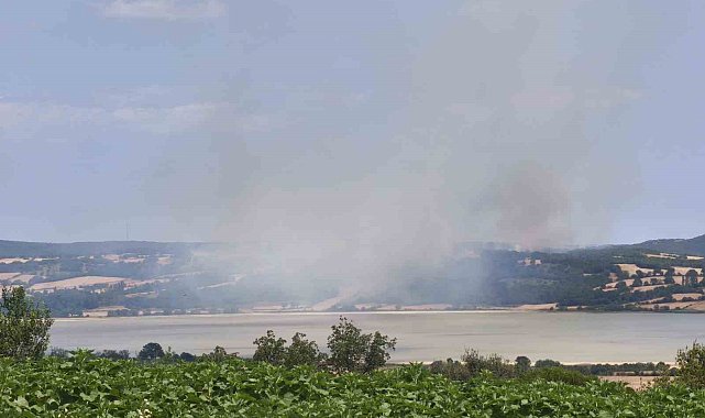 Edirne'de orman yangını kontrol altına alındı