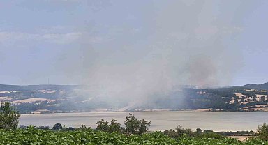 Edirne'de orman yangını kontrol altına alındı