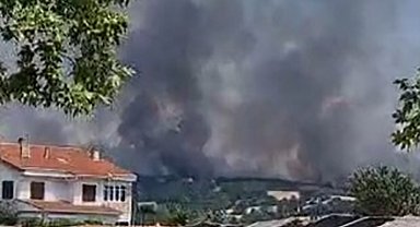 Edirne'de orman yangınına havadan ve karadan müdahale ediliyor