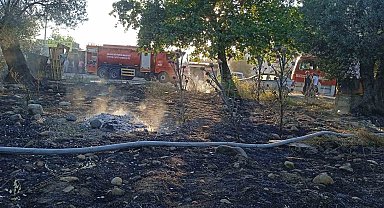 Edremit'te yangında 123 zeytin ağacı alev alev yandı