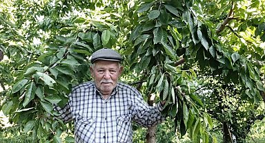 Ege bu yıl meyveye hasret