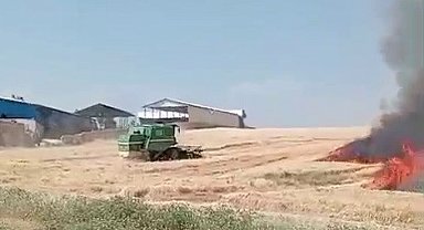 Ekili alanlar cayır cayır yandı