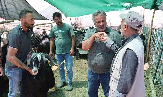 Elazığ'da 'kol kıran' pazarlıklar sürüyor