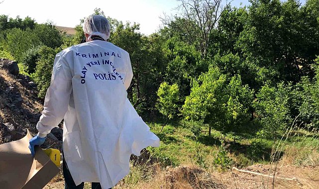 Elazığ'da ağaca asılı halde erkek cesedi bulundu