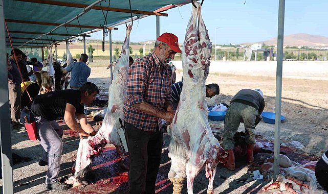 Elazığ'da bayram namazını kılan vatandaşlar, kurbanlarını kesti