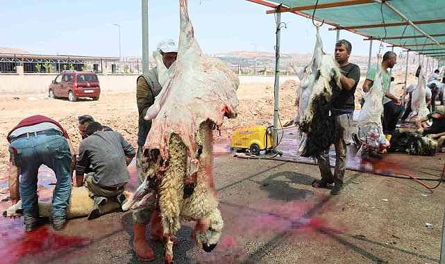 Elazığ'da bayramın üçüncü günü de kurban kesimi devam etti