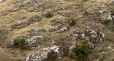 Elazığ'da dağ keçileri sürü halinde görüntülendi