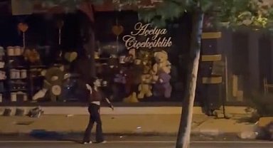 Elazığ'da kadın, bir iş yerine taşla saldırdı