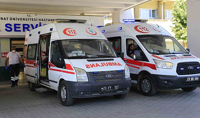 Elazığ'da kenenin ısırdığı adam hastaneye kaldırıldı