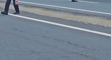 Elazığ'da seyir halindeki kamyon alev aldı