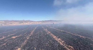 Elazığ'da yangın, 60 dönümlük ekili alanı küle çevirdi