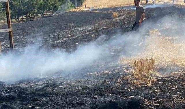 Elazığ'da yangın: Ekili alan küle döndü
