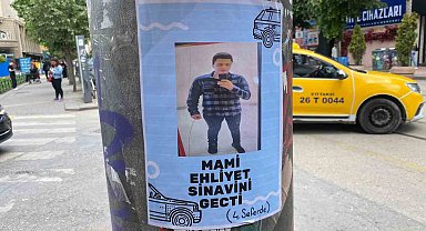 Elektrik direklerine asılan "Ehliyet sınavını geçti" broşürü ilgi çekti