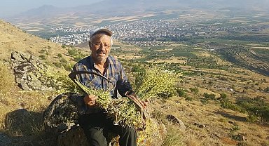 Erciyes'ten gelen şifa kaynağı: Karakovan Balı