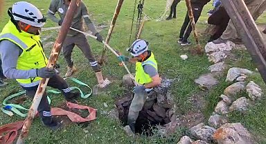 Eruh'ta kuyuya düşen dana kurtarıldı