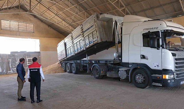 Erzincan'da hububatta ilk hasat başladı