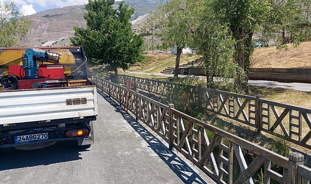 Erzincan'da uçkun ilaçlaması başlıyor