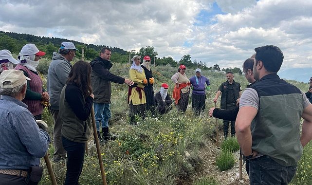 Erzincan'da yeşil vatana kadın eli değiyor