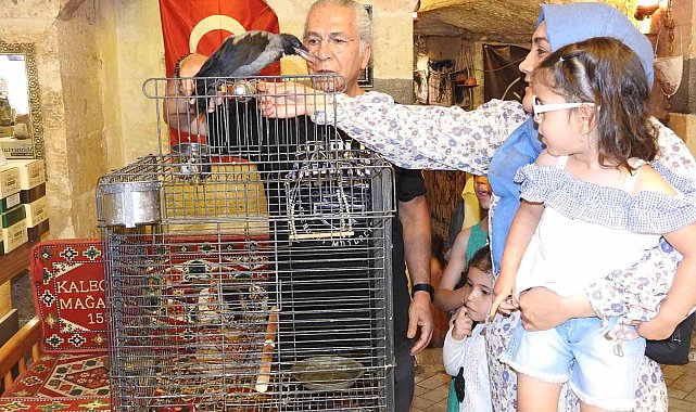 Esnafın sahiplendiği karga ile dostluğu görenleri hayrete çeviriyor